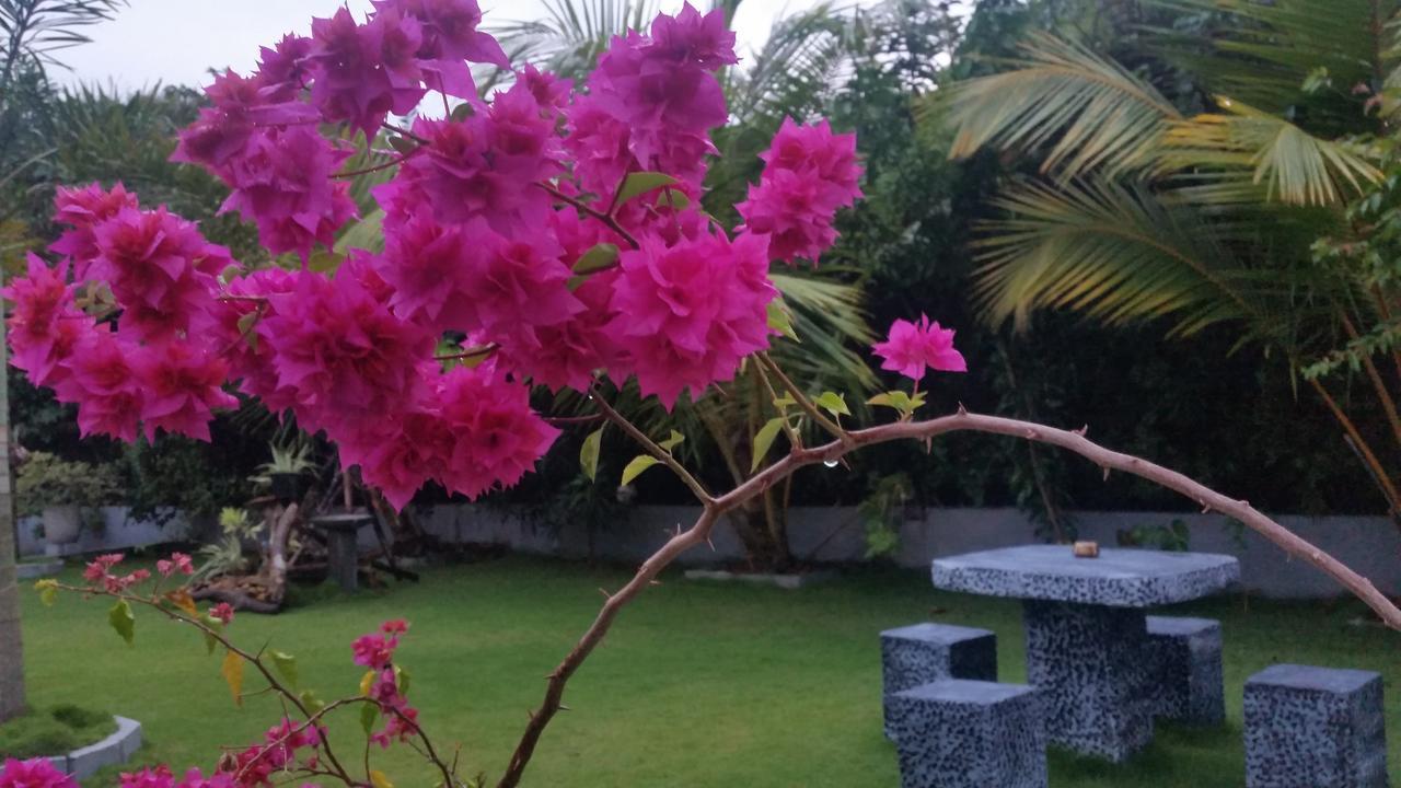 Dhammika Magic Palace Wadduwa Dış mekan fotoğraf